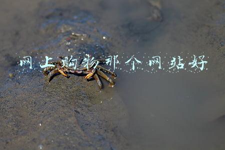 网上购物那个网站好