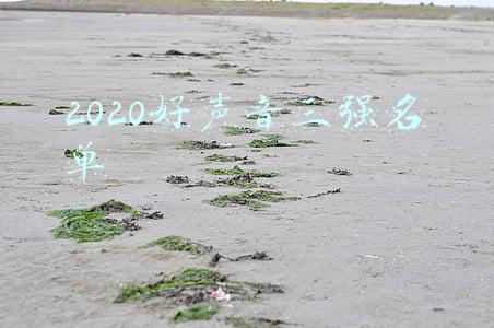 好声音2020前三强(好声音亚军王靖雯被热捧，冠军伍珂玥为何反被架空？)