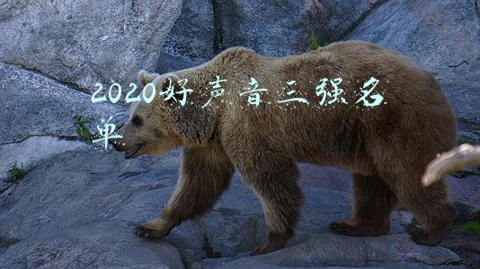 2020年好声音前三名(分获年度突破音乐人和最具潜力歌手，王靖雯和单依纯区别在哪？)
