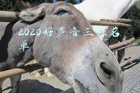 2020好声音在线观看完整版(中国好声音2020完整版在线观看 中国好声音2020导师选手名单)