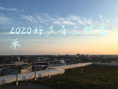 2020好声音三强名单
