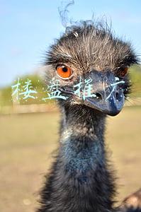 房地产推广方案(想搞好地产大运营，先做好这四种计划)