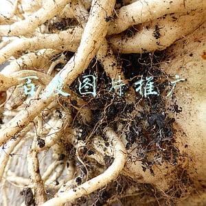 百度图片推广哪家便宜(百度推广（专业版）经典教程)