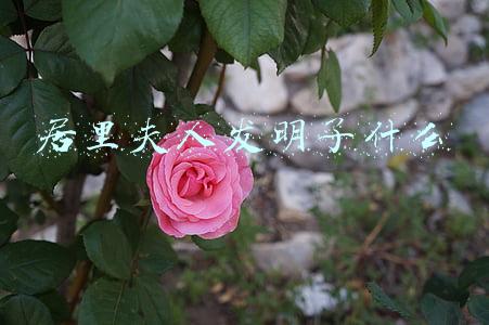 居里夫人发明了什么