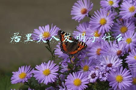 居里夫人发明了什么