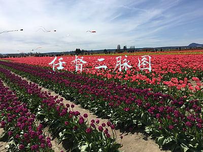 一分钟打通任督二脉图(脚上有一个穴位，能帮你打开任督二脉，是真的吗？)