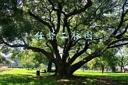 任督二脉图放大 打通(真的有人打通任督二脉吗？)