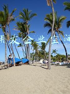 用友集团地址(用友网络是一家什么样的公司？)