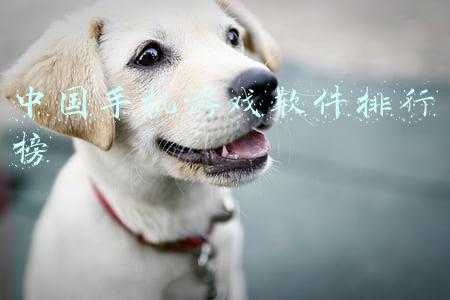 中国手机游戏软件排行榜