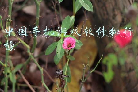 中国手机游戏软件排行榜