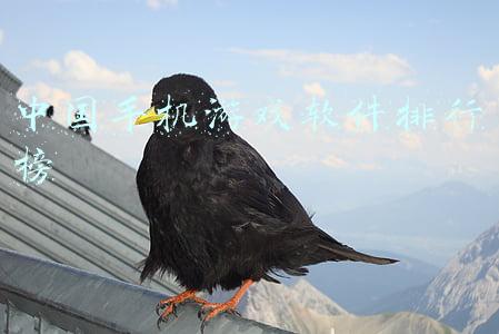 中国手机游戏软件排行榜