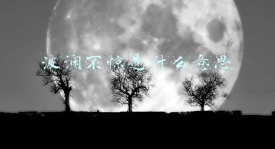 波澜不惊是什么意思