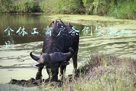 个体工商户条例实施细则2020(这些小微个体户减免6个月房租、引导外卖等平台下调商户服务费……渡难关，最新安排！)