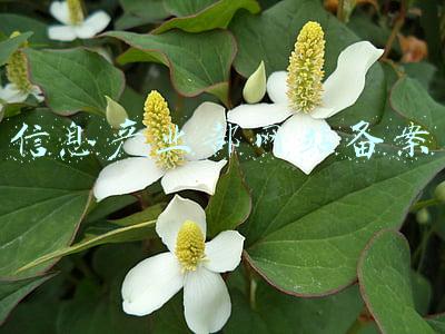 信息产业部网站备案