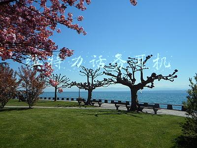 缤特力耳机官网(跑酷达人带你体验缤特力BackBeat FIT 3100真无线运动耳机)