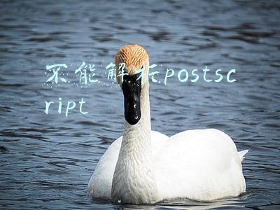 不能解析域名(Linux无法解析域名的解决办法)