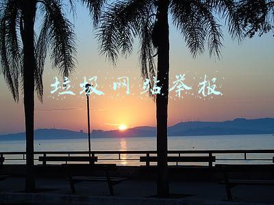 垃圾网站举报