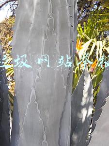 垃圾网站举报