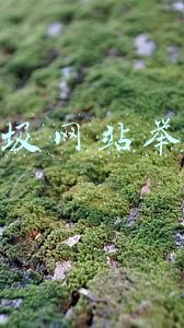 垃圾网站注册(下班偷看不良网站“解压”，删记录就没事了？这些风险已经靠近…)