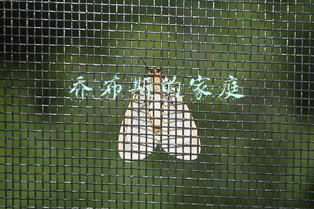 乔布斯的家庭背景(乔布斯：对养母充满温情，与生父陌路相逢，竟然是谦恭的餐厅经理)