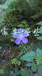 烧烤要多少种材料,要什么配料(王师傅烧烤店内部烧烤资料配方意外流出，赶紧收藏)