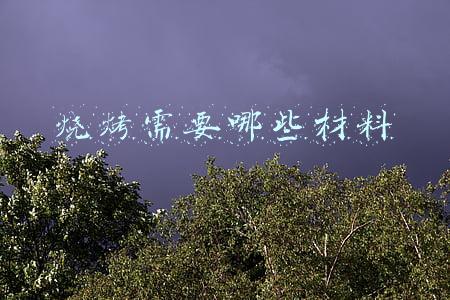 烧烤需要准备的材料(简单美味-低卡家庭自制烤串)