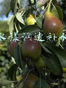 花印水漾润透补水面膜