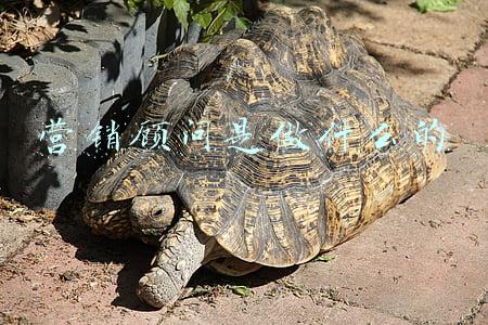字节跳动营销顾问是做什么的(新销售如何度过第一个90天？)