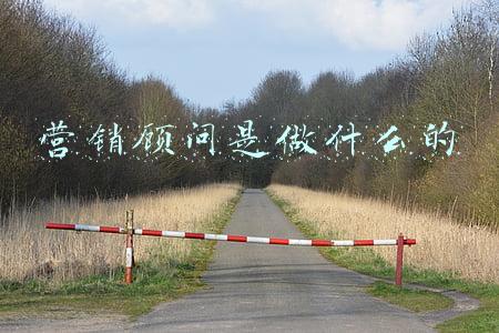 电子商务营销顾问是做什么的(年终篇：直播电商的“时间价值”及经营方法论)