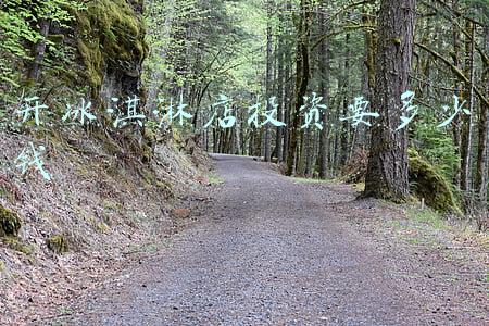 开冰淇淋店投资要多少钱