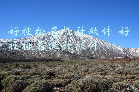 好搜排名提升软件 好搜排名提升软件