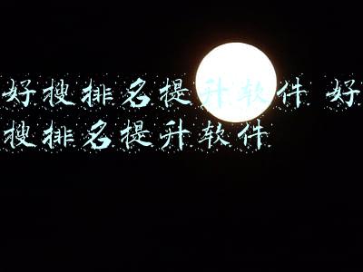 好搜排名提升软件 好搜排名提升软件