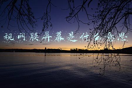 视网膜屏幕是什么意思