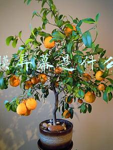 视网膜屏幕是什么意思