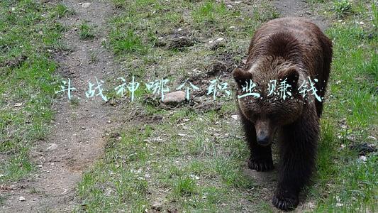 斗战神哪个职业赚钱快(斗战神赚钱新方法 长安妖兵校尉传单之介绍)