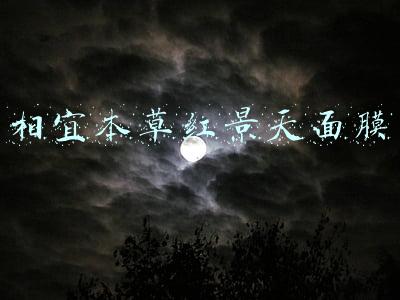 相宜本草红景天面膜