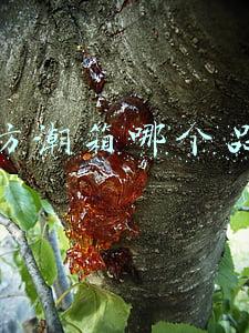 电子防潮箱哪个品牌好