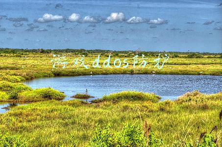 ddos攻击怎么防护(僵尸网络之如何防护DDoS攻击，愿这个世界再无黑产)