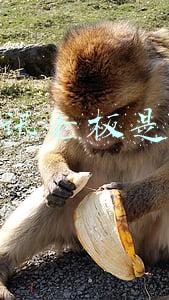 腾讯老板是谁