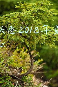云联惠2018年最新消息