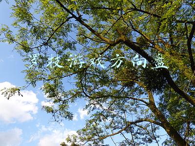 罗技游戏方向盘维修(你的G29方向盘有哪些问题？)