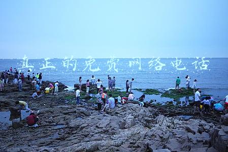 真正的免费网络电话 真正的免费网络电话