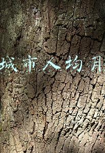 中国城市人均月收入