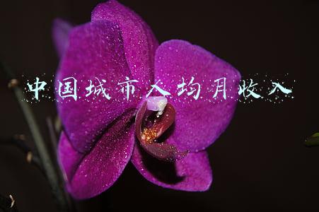 中国城市人均月收入