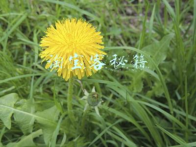 淘宝客秘籍