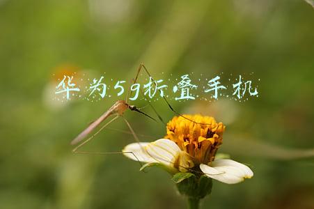 华为5g折叠手机