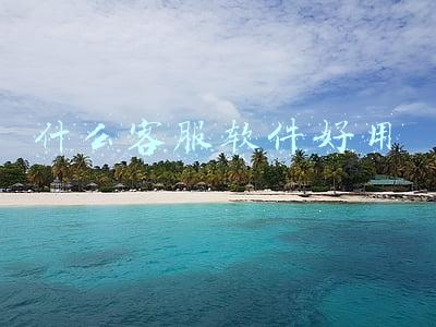 专业客服软件(2021年HR管理软件排名揭晓，对企业选型极具参考价值)