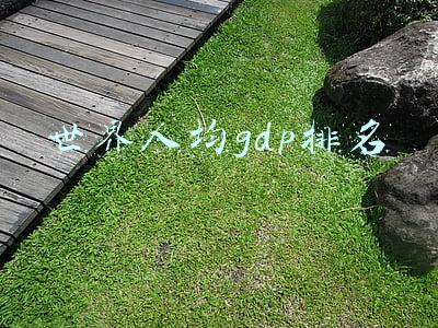 世界人均gdp排名国家(我国人均GDP为1.25万美元，在全球属于什么水平？在亚洲排第几？)