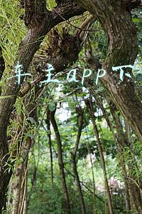 滴滴车主app下载安装