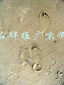 品牌推广案例